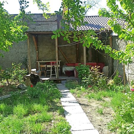 Дом У Моря С Бассейном И Сауной Odessa Esterno foto